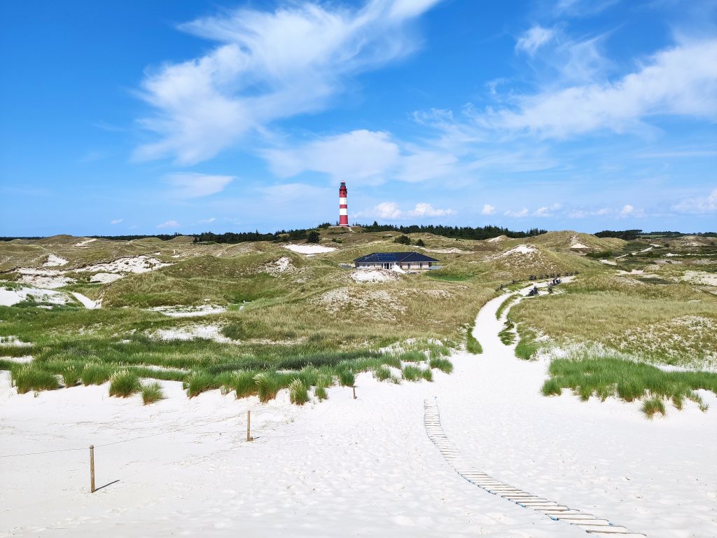 Tagesausflug von Sylt nach&nbsp;Amrum