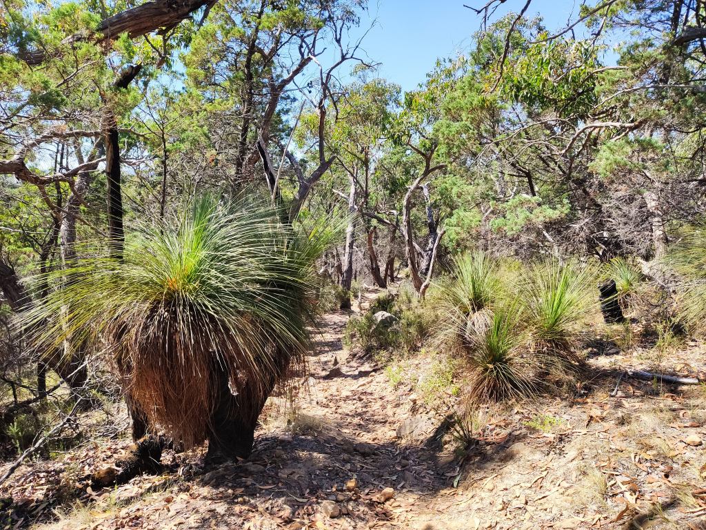 Der Süden der Grampians&nbsp;(Gariwerd)
