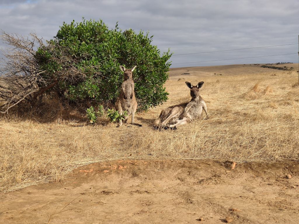Fleurieu Peninsula und Deep Creek National&nbsp;Park