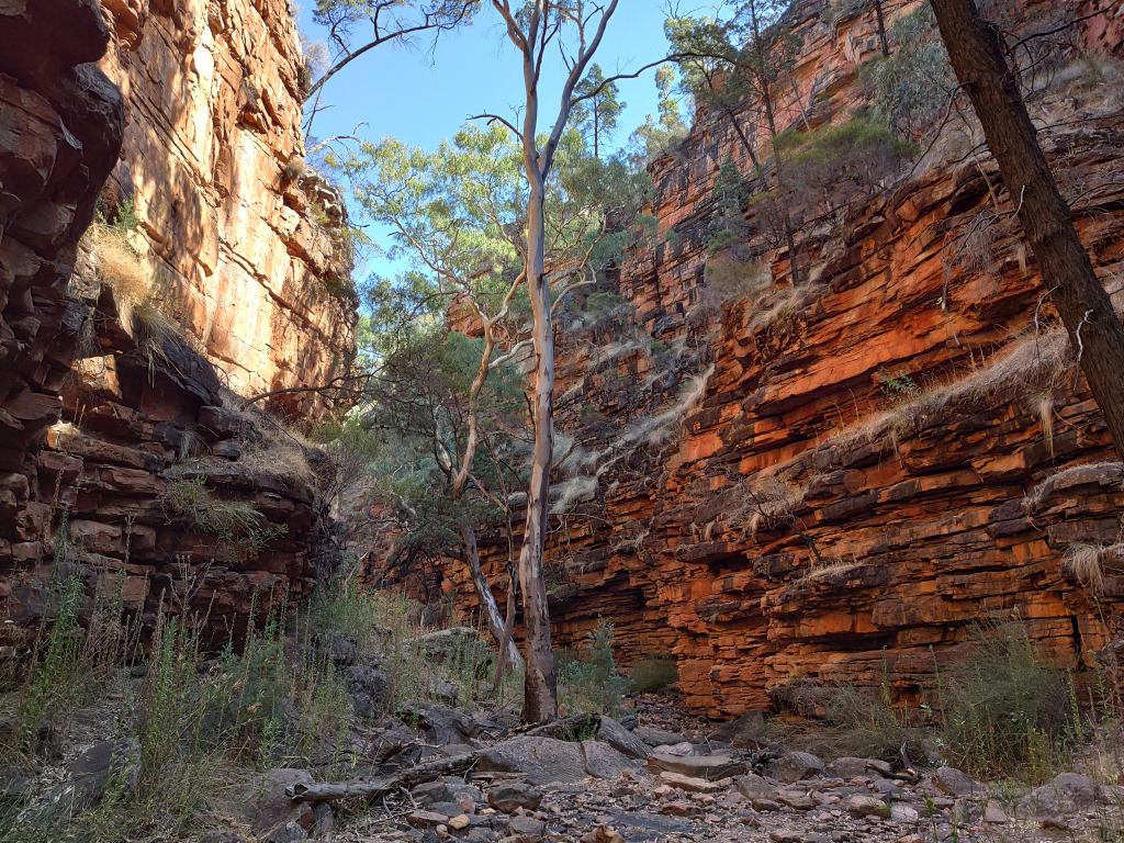 Alligator Gorge Ring Route Hike