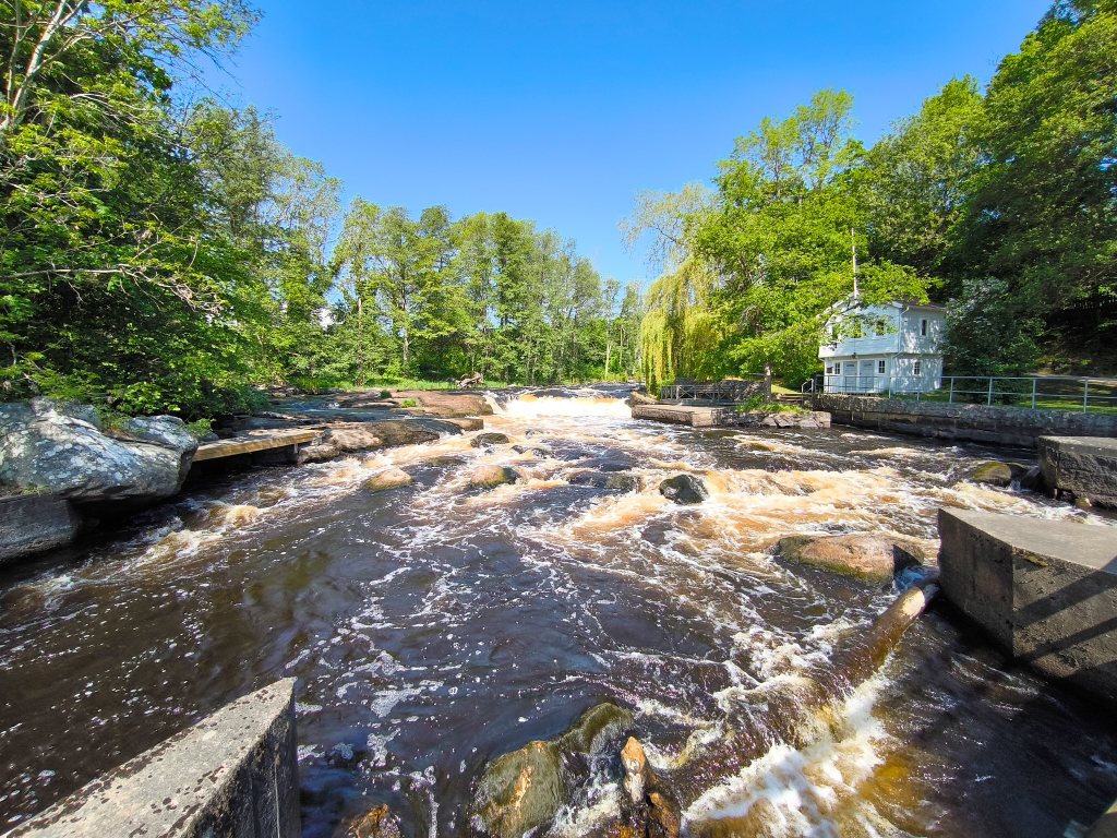 Mörrums Kronolaxfiske: Schwedens führendes Gewässer für Sportfischerei