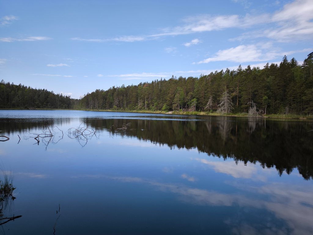 Tyresta Nationalpark: Im frisch bewässerten Vorstadt-Urwald drei Seen erwandern