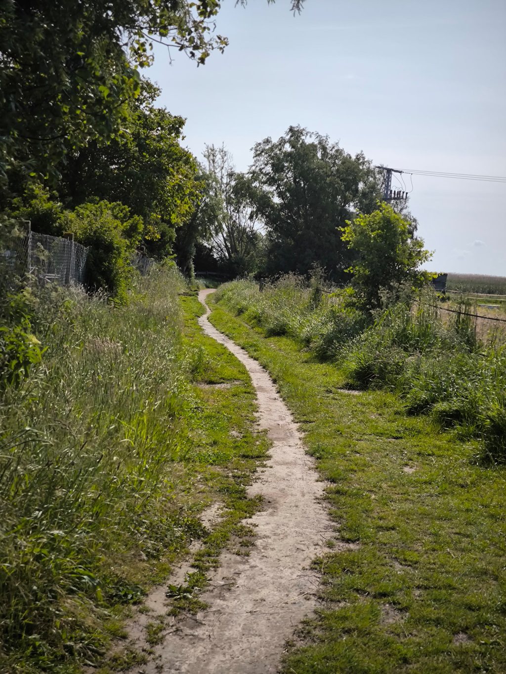 Grosser Wustrower Rundweg von der Seebrücke entlang des Ostseestrands, querfeldein zum Boddenufer und zurück zur Alten&nbsp;Seefahrtschule