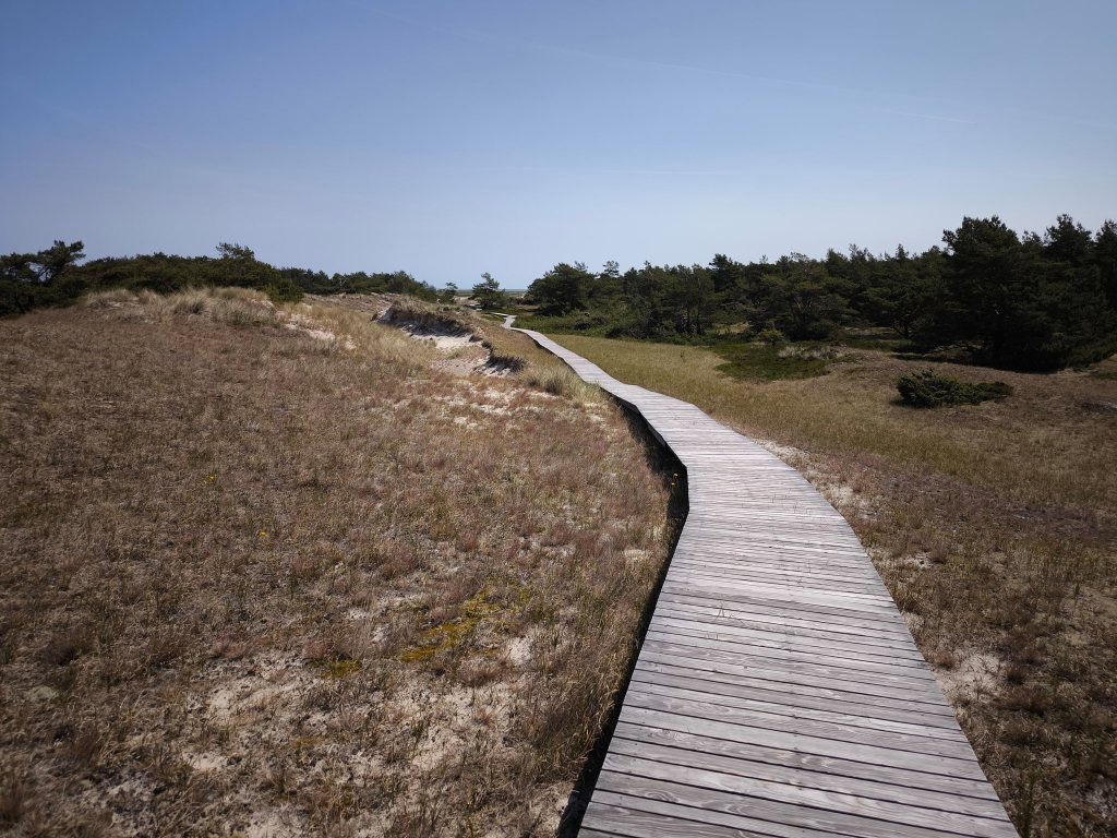 Auf dem Rundwanderweg am Darsser Ort von Prerow durch den Darsser Wald zum Leuchtturm und auf dem Strand zurück
