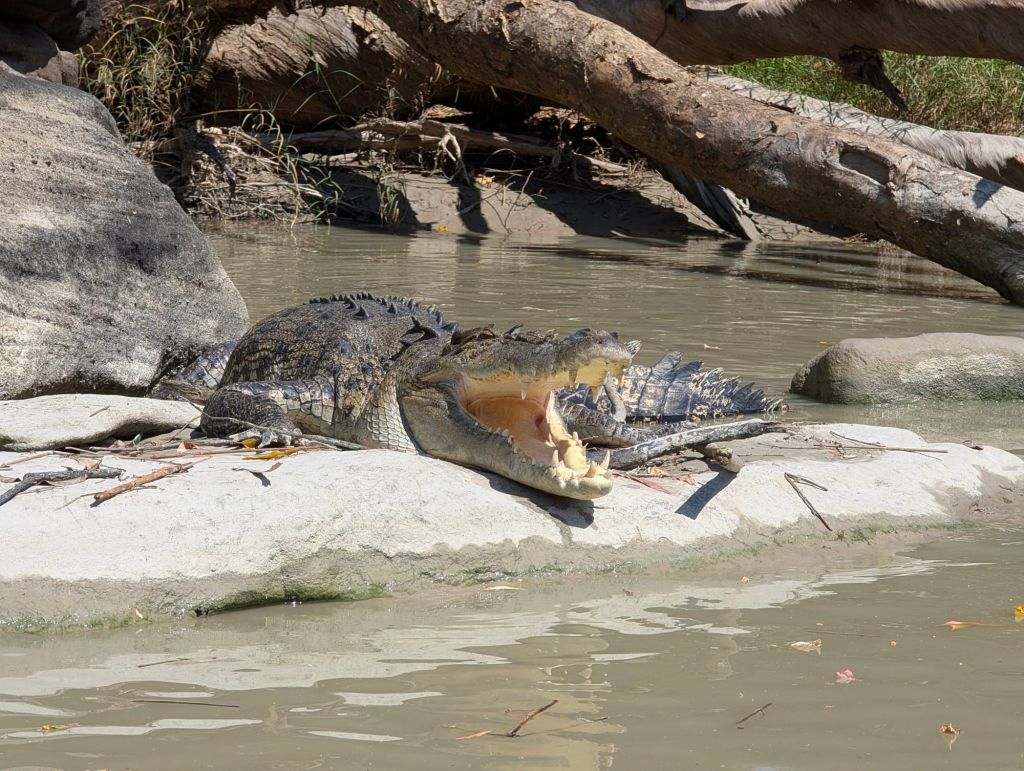 Kakadu Nationalpark: Unzählige Salzwasserkrokodile, wunderbare Pools an Flussläufen und Wasserfällen, interessante Cruises, faszinierende Felszeichnungen und einige gesperrte Sehenswürdigkeiten