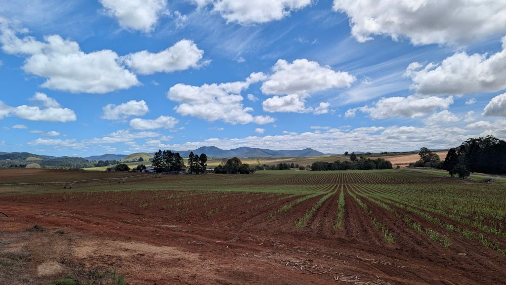 Atherton Tablelands: Rund um Atherton und Mareeba in einer sehr vielseitigen und abwechslungsreichen Landschaft unterschiedlichste Ausflüge geniessen