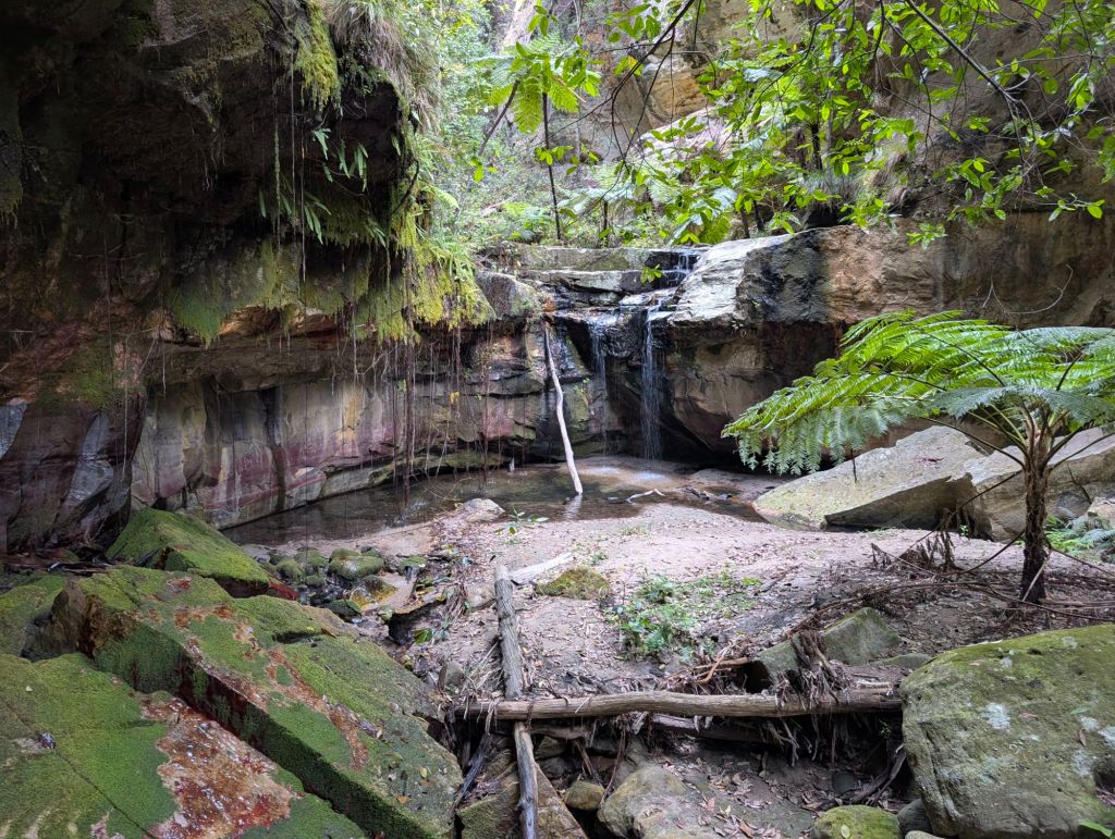 Carnarvon Gorge NP: Viele abwechslungsreiche und lange Wanderungen in der beeindruckenden Schlucht in den Sandstone Wilderness Parks von&nbsp;Queensland